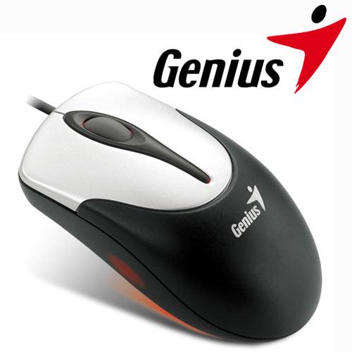 Mouse Genius Op.Netscroll 310USB 800DPI Prata
